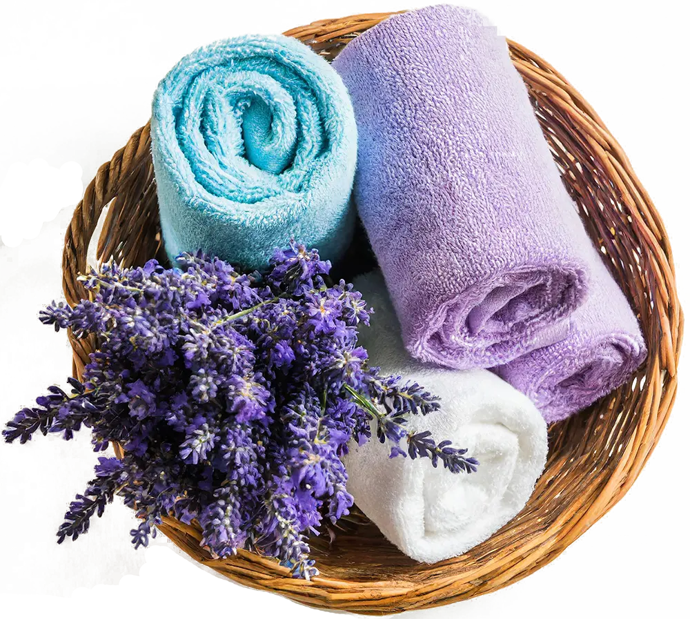 Spa basket